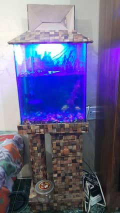 Fish Aquarium with 4 fishes and others