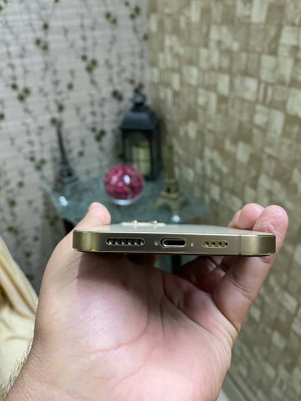 iPhone 12 Pro Max(PTA) 1