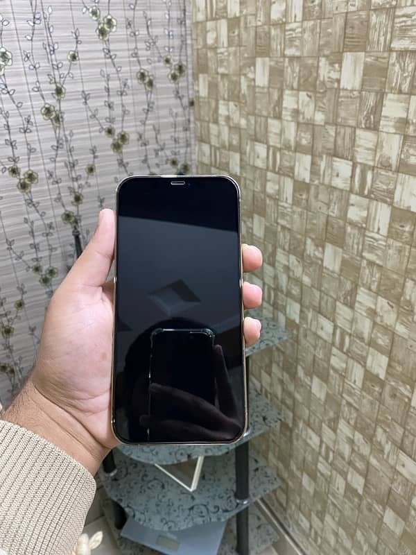 iPhone 12 Pro Max(PTA) 5