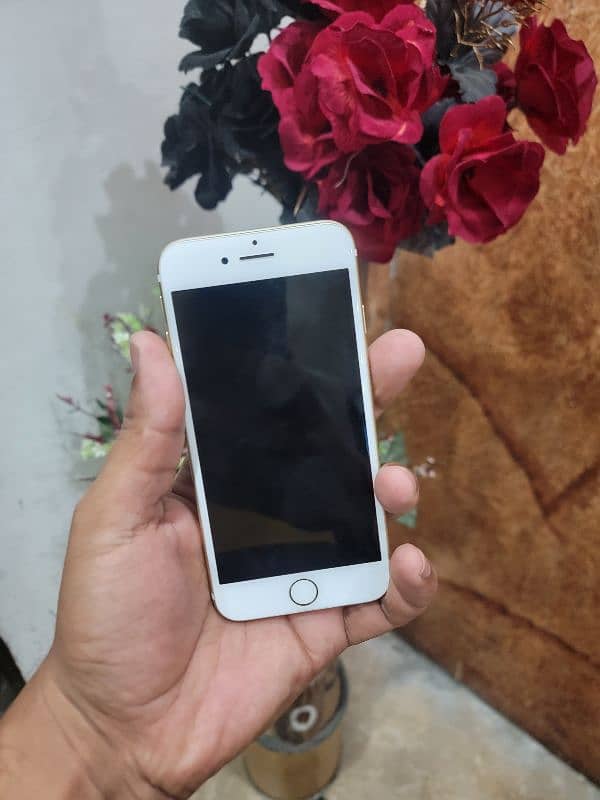 iphone 7 128gb brand new 2