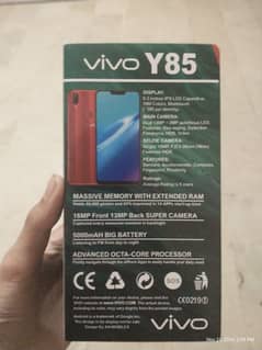 VIVO