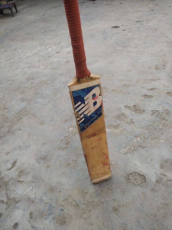 Kashmir willow (A Great) used bat 0