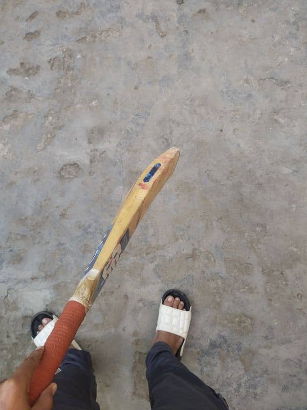 Kashmir willow (A Great) used bat 4