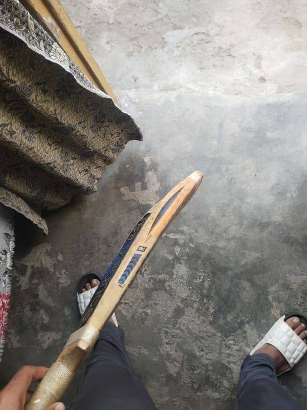 Kashmir willow (A Great) used bat 1