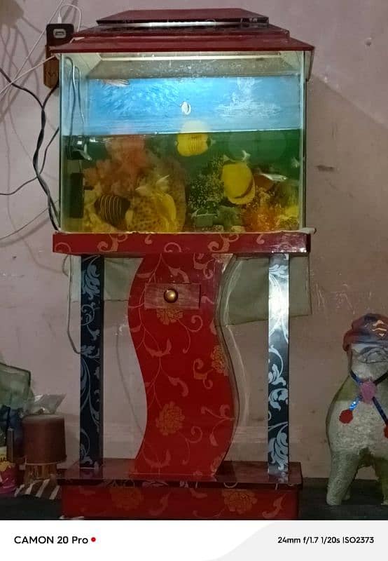 aquarium with all accessories & fishes 0