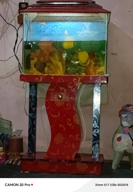 aquarium with all accessories & fishes 1