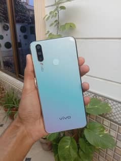 Vivo