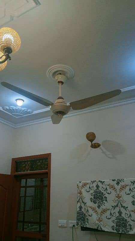 fans for sale 7