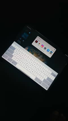 Ipad M2 Pro 256 GB