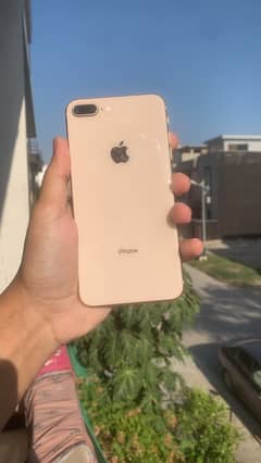 iphone 8 plus pta approved