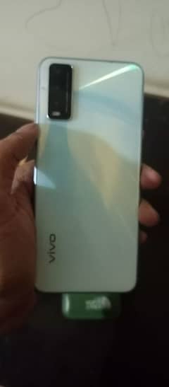 vivo