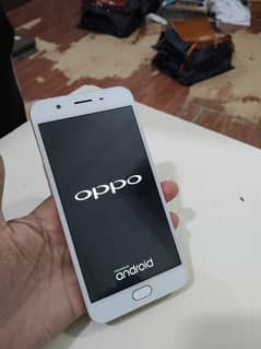 oppo