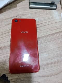 vivo