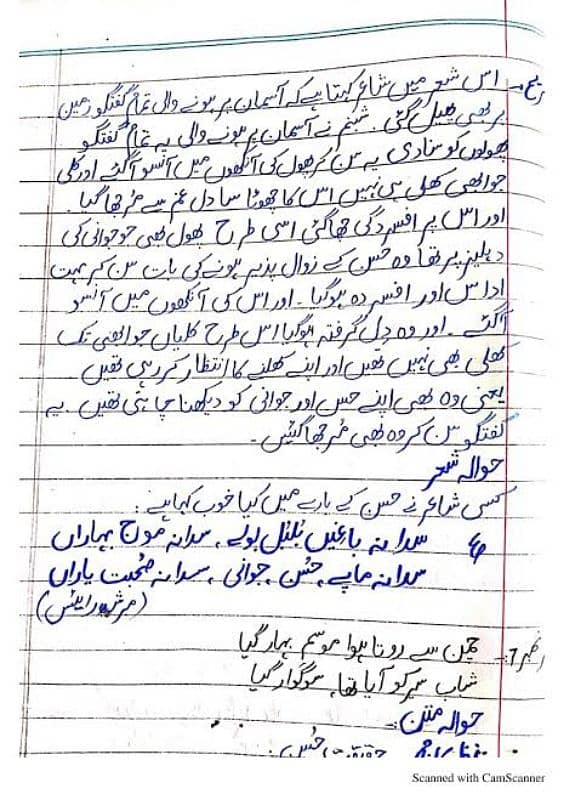 English and Urdu Assignment Writing 4