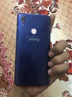 vivo