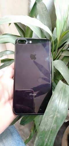 iphone 7plus 256gb pta approved