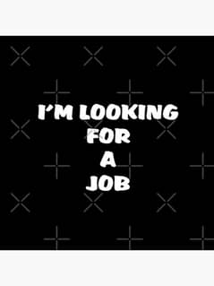 i am looking for a job