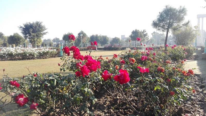 10 MARLA GOOD LOCATION POSSESSION PAID PLOT NEAR PARK FOR SALE IN GHAZI BLOCK 8