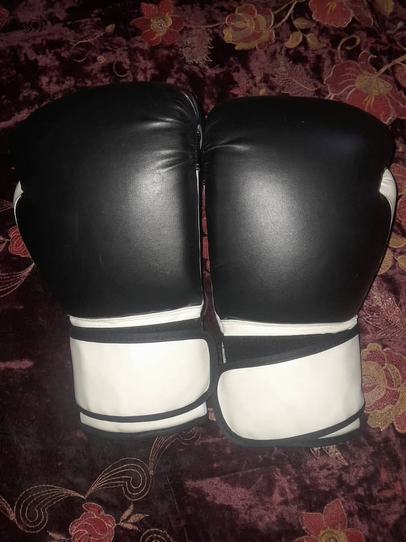 New Boxing Gloves & Sand Bag for Sale 1