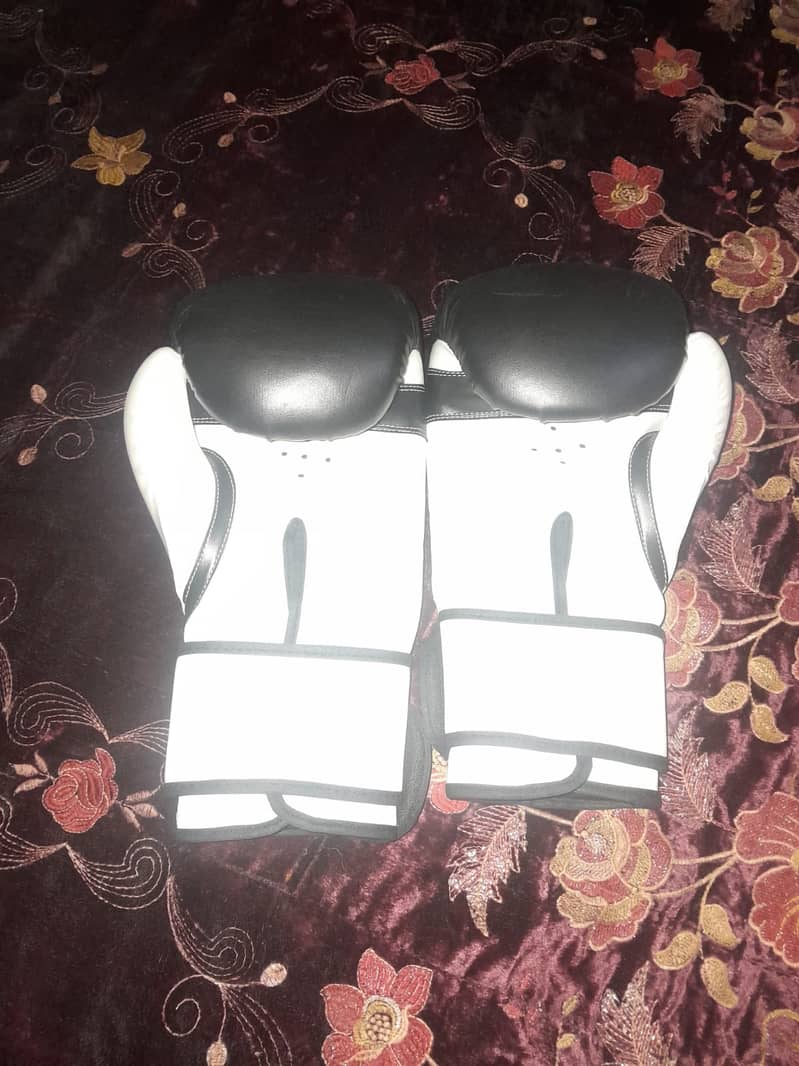 New Boxing Gloves & Sand Bag for Sale 2