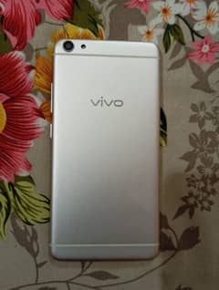 VIVO