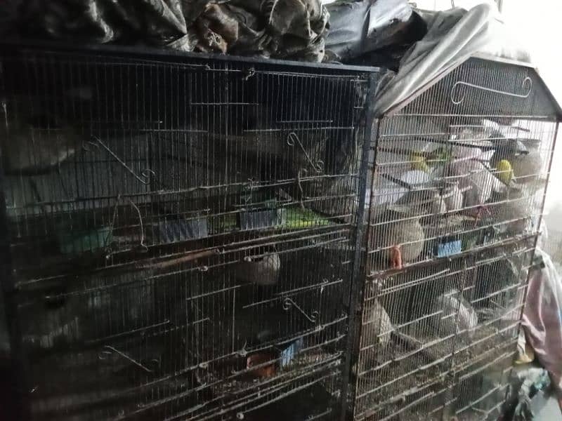 cage For Sale 8 portion or 5 portion dono saf suthre cage hain 0