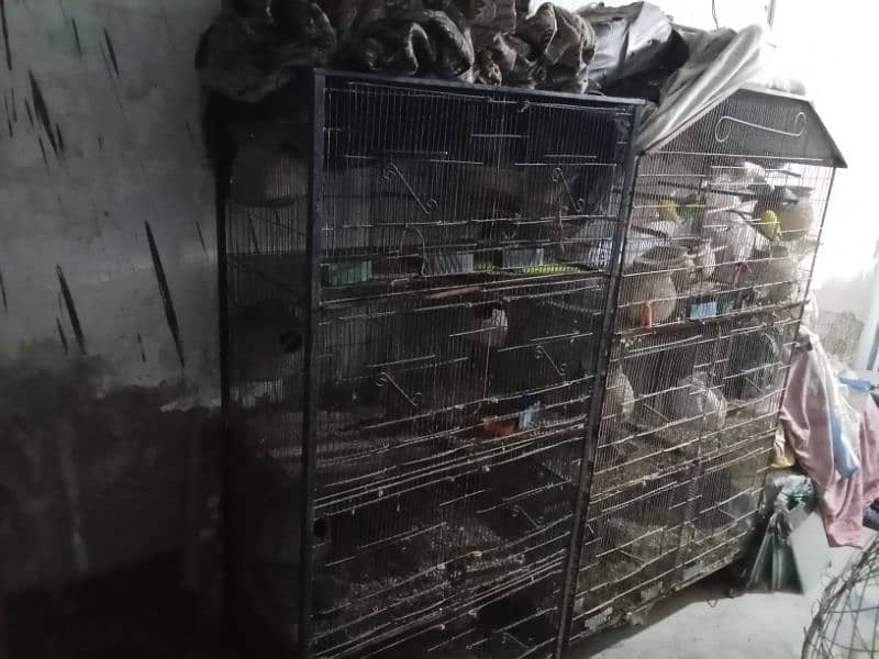 cage For Sale 8 portion or 5 portion dono saf suthre cage hain 1