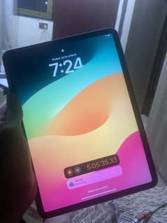 ipad pro 2020 256gb cellular sim time remaining