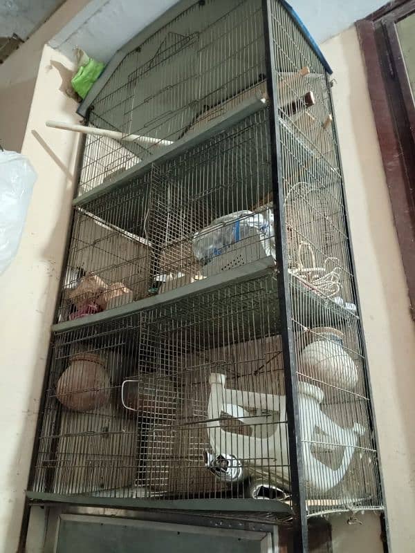 Parrot and cage 5 portion 3