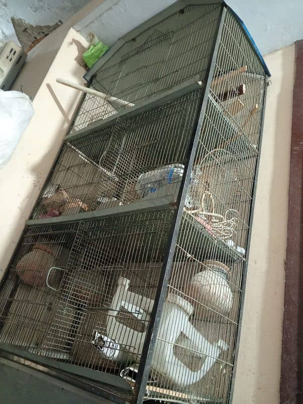 Parrot and cage 5 portion 4