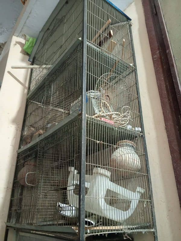 Parrot and cage 5 portion 5