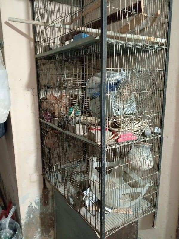 Parrot and cage 5 portion 6