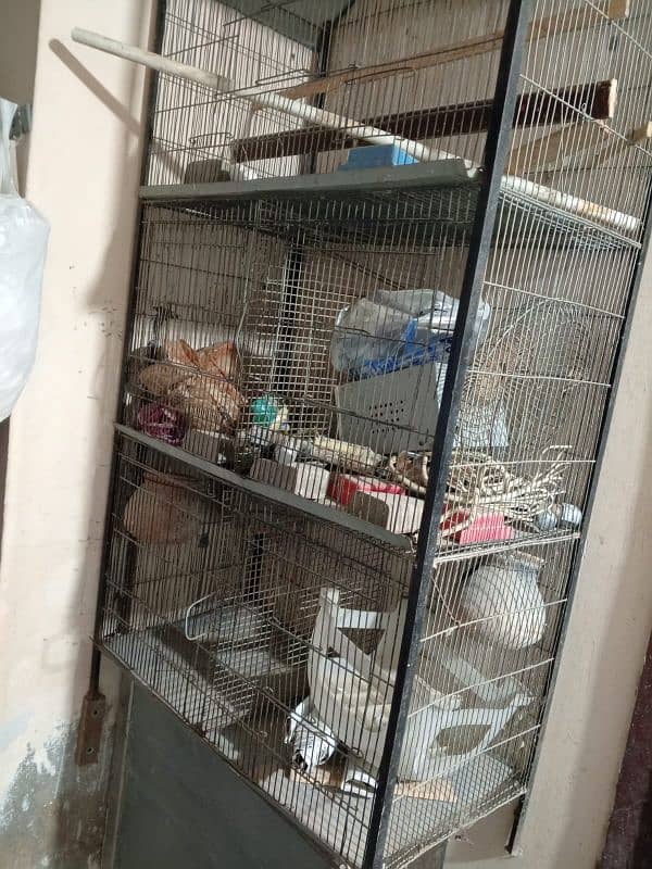 Parrot and cage 5 portion 7