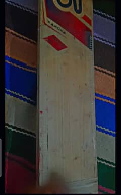 Hard ball bat English willow kokabura