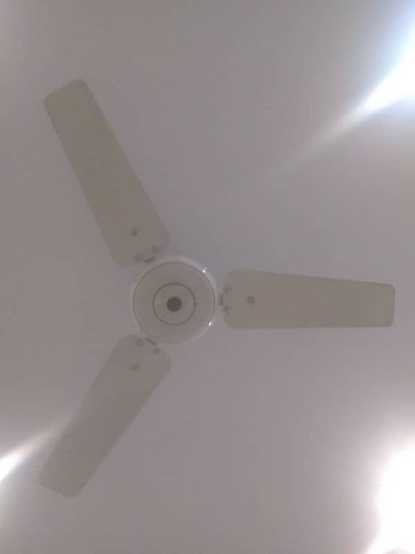 Millat ceiling fans 2 and 1 other ceiling fan 1