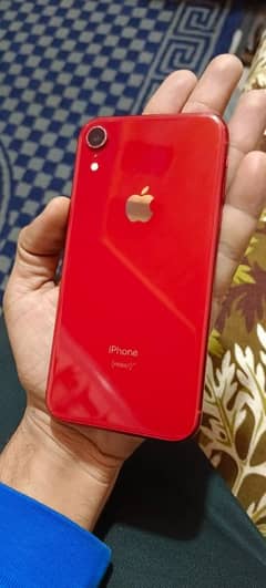 i phone xr 128gb non pta BH100%