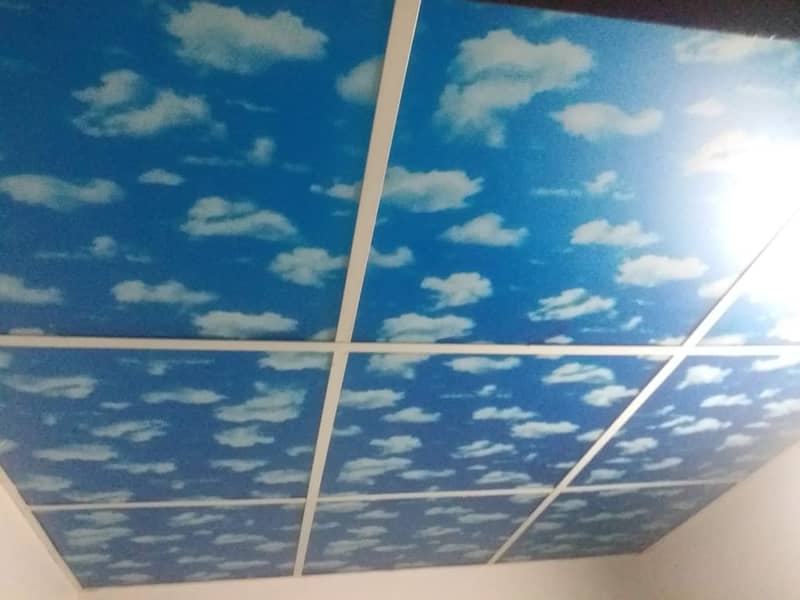 false Ceiling 2by2 Roof Ceiling Gypsum Ceiling Plastir paris ceiling 0