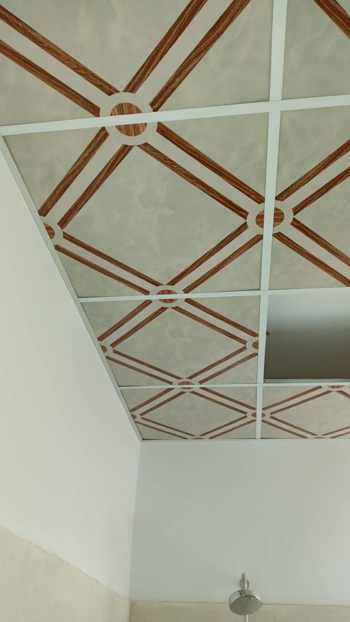 false Ceiling 2by2 Roof Ceiling Gypsum Ceiling Plastir paris ceiling 12