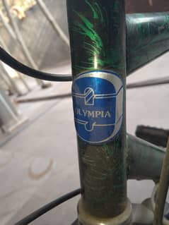 Olympia bicycle 26 size