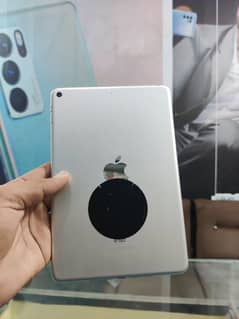 ipad mini 5 64gb