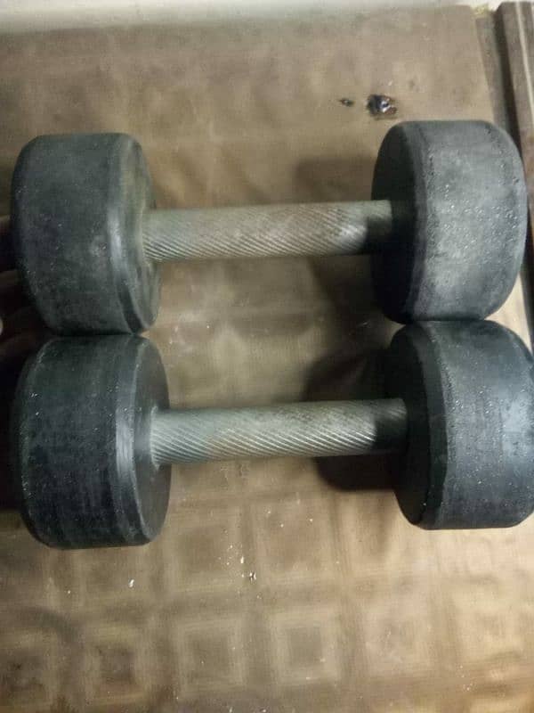 Dumbbell beast company 3 kg 1