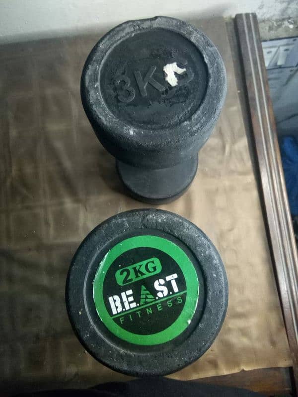 Dumbbell beast company 3 kg 2