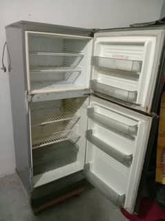 pel fridge 03162863128