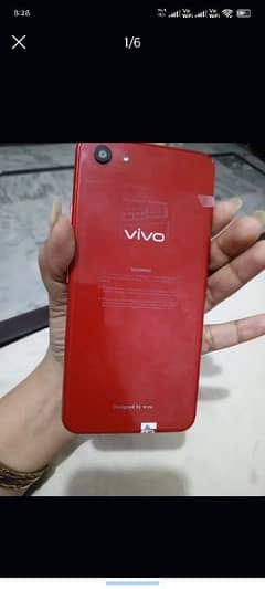 Vivo