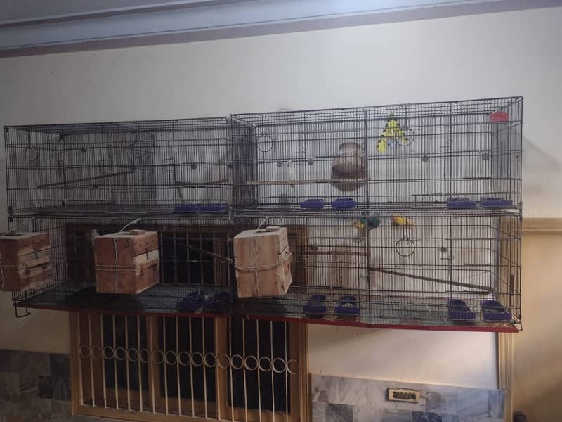 4 Folding Cages (8 Portion) 4