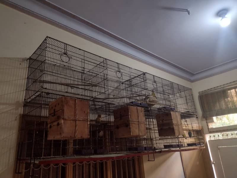 4 Folding Cages (8 Portion) 5