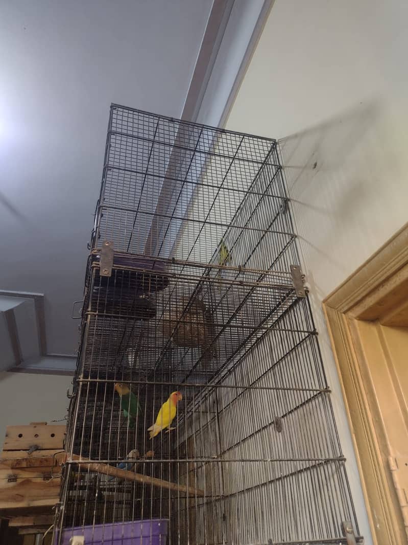 4 Folding Cages (8 Portion) 7