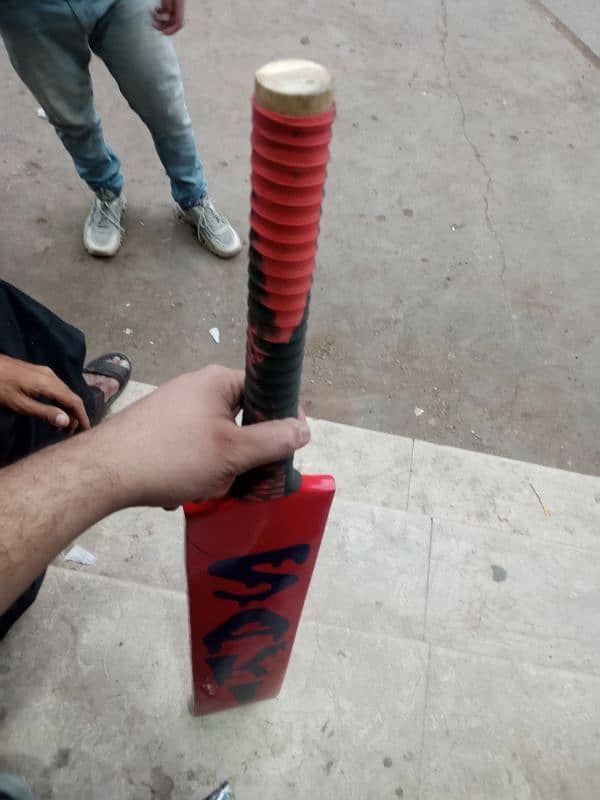 Saki Tabe Ball Bat 3