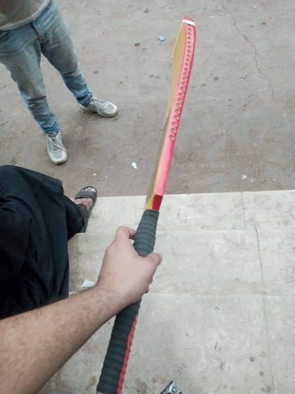 Saki Tabe Ball Bat 5