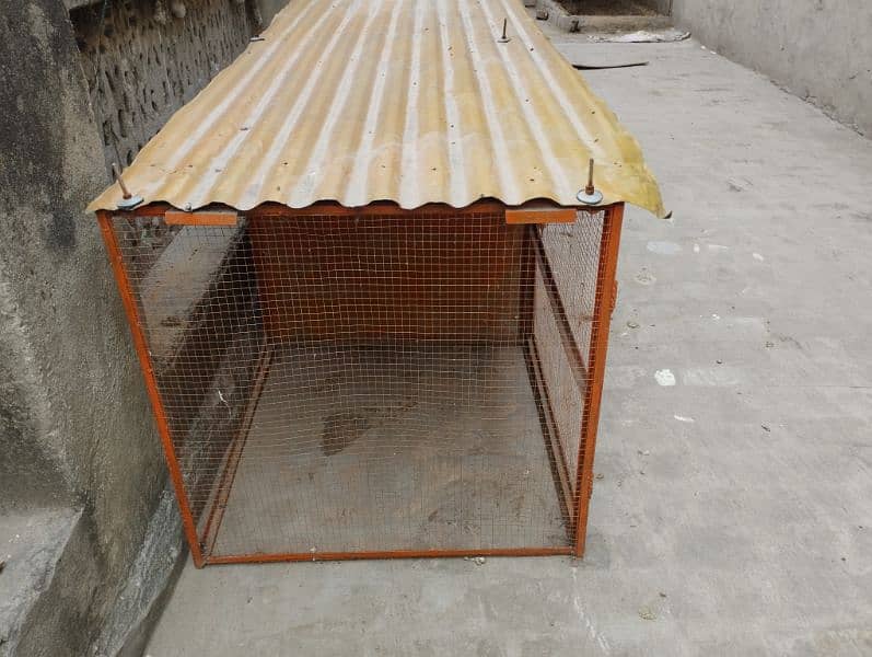 3 caban hen cage urgent sell 1